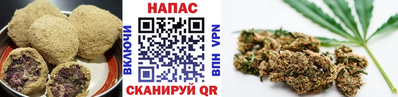 даркнет клад Пучеж Canna-Cookies конопля hydra сайт