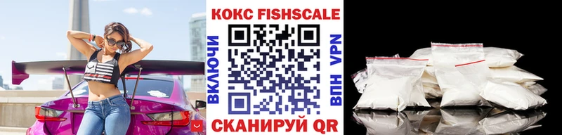 COCAIN FishScale  где можно купить наркотик  Пучеж 